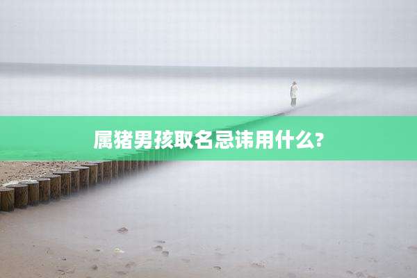 属猪男孩取名忌讳用什么?