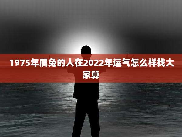 1975年属兔的人在2022年运气怎么样找大家算