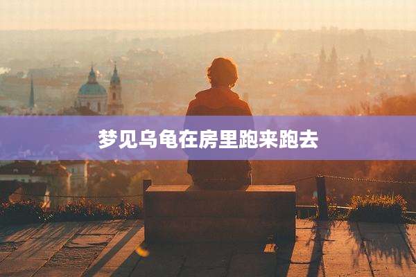 梦见乌龟在房里跑来跑去