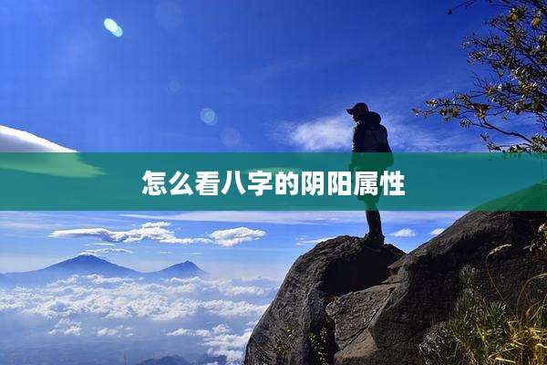 怎么看八字的阴阳属性