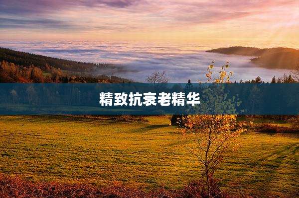 精致抗衰老精华