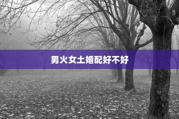 男火女土婚配好不好