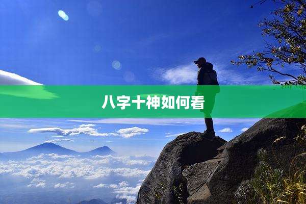 八字十神如何看