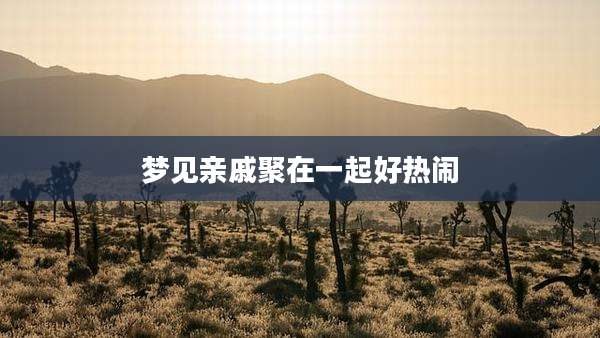 梦见亲戚聚在一起好热闹