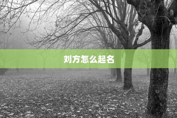 刘方怎么起名