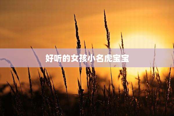 好听的女孩小名虎宝宝