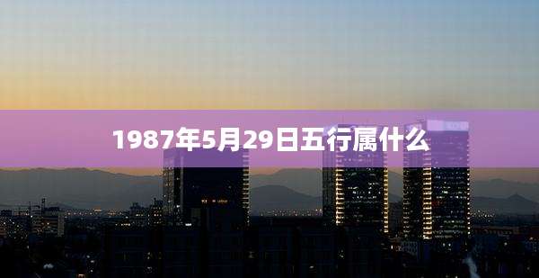 1987年5月29日五行属什么