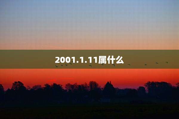 2001.1.11属什么