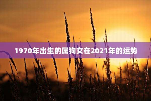 1970年出生的属狗女在2021年的运势