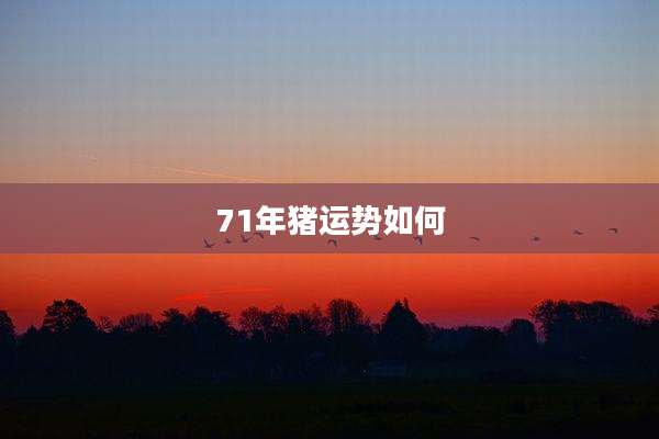 71年猪运势如何