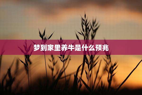 梦到家里养牛是什么预兆