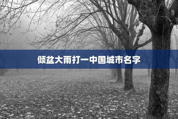 倾盆大雨打一中国城市名字