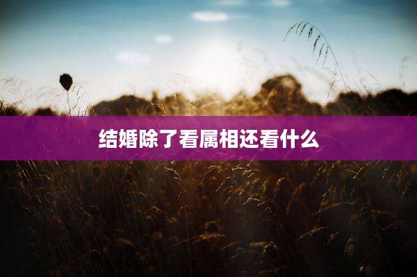 结婚除了看属相还看什么
