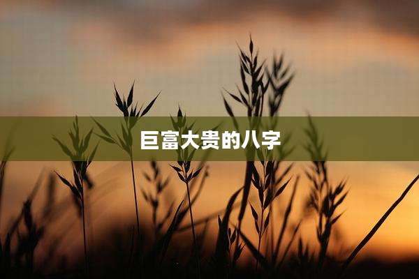 巨富大贵的八字