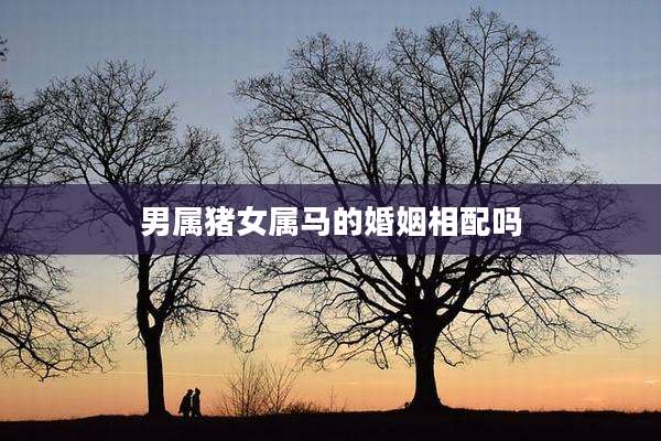 男属猪女属马的婚姻相配吗
