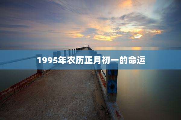 1995年农历正月初一的命运