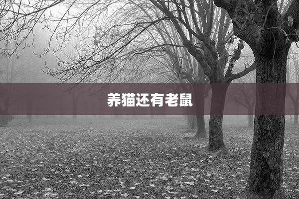 养猫还有老鼠