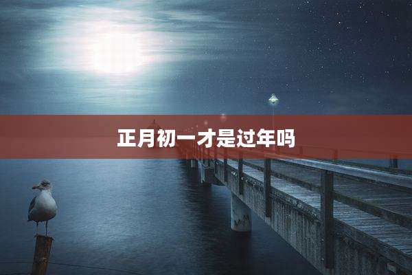 正月初一才是过年吗