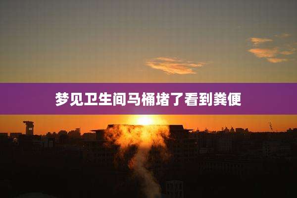 梦见卫生间马桶堵了看到粪便