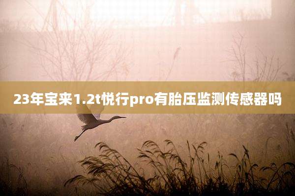 23年宝来1.2t悦行pro有胎压监测传感器吗