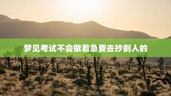梦见考试不会做着急要去抄别人的