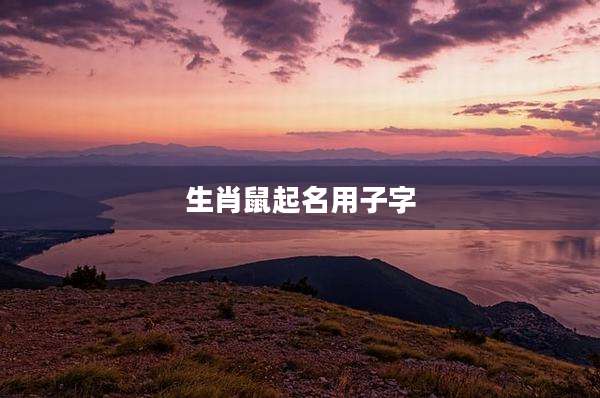 生肖鼠起名用子字