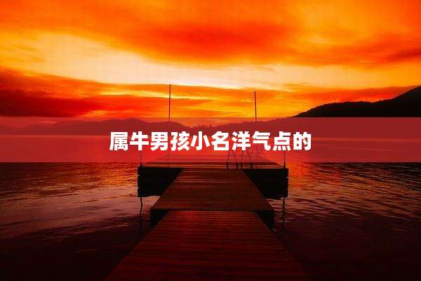 属牛男孩小名洋气点的