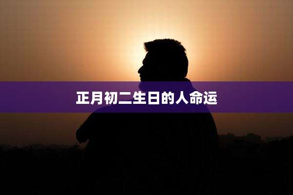 正月初二生日的人命运