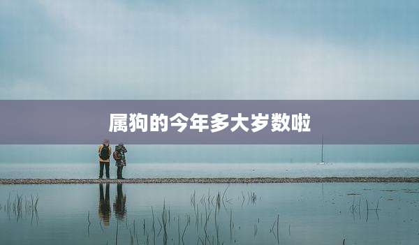 属狗的今年多大岁数啦