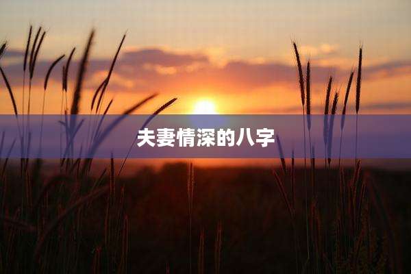 夫妻情深的八字