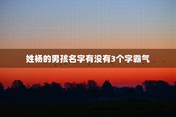 姓杨的男孩名字有没有3个字霸气