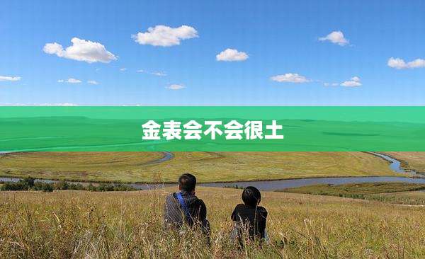 金表会不会很土