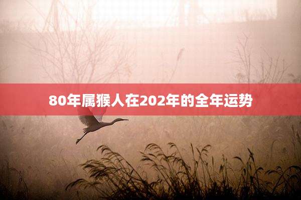 80年属猴人在202年的全年运势