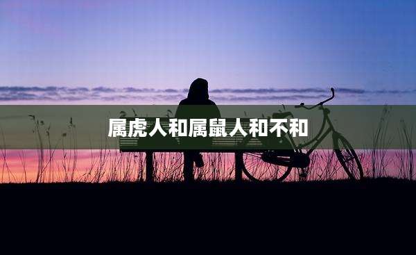 属虎人和属鼠人和不和