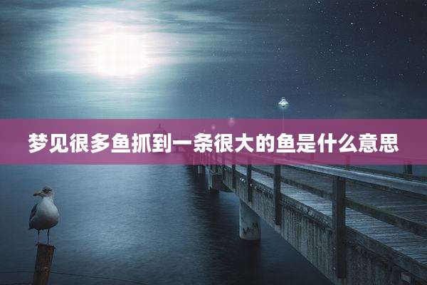 梦见很多鱼抓到一条很大的鱼是什么意思