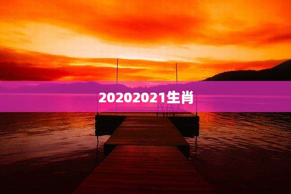 20202021生肖