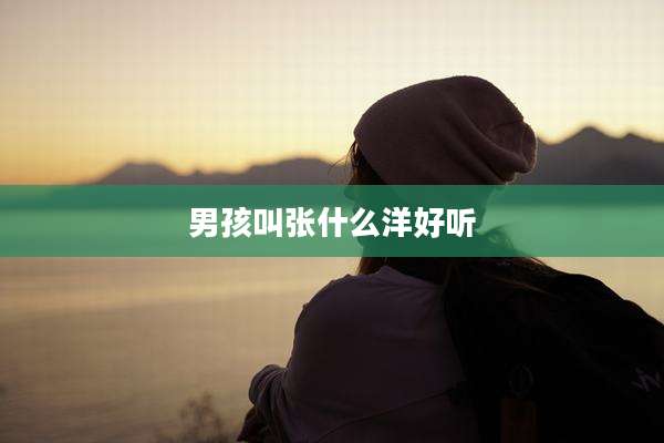 男孩叫张什么洋好听