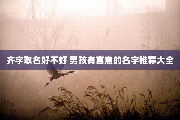 齐字取名好不好 男孩有寓意的名字推荐大全