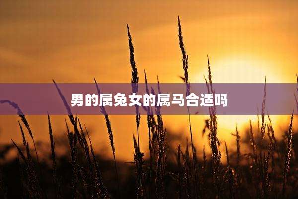 男的属兔女的属马合适吗
