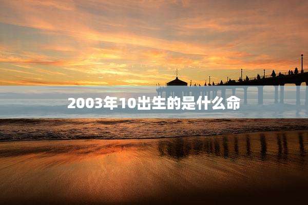 2003年10出生的是什么命