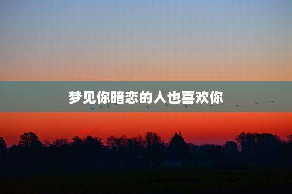梦见你暗恋的人也喜欢你