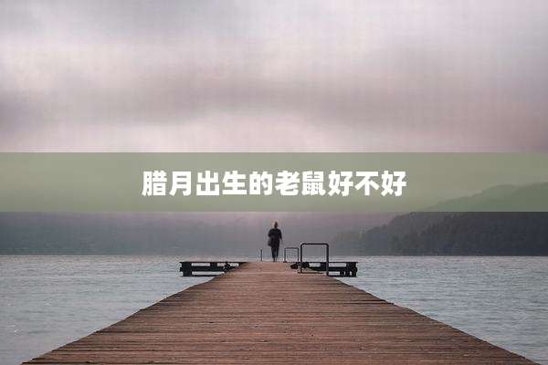 腊月出生的老鼠好不好