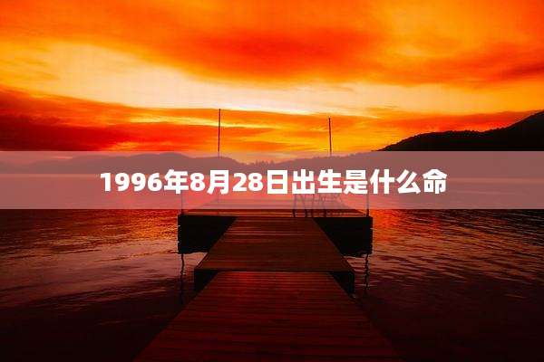 1996年8月28日出生是什么命