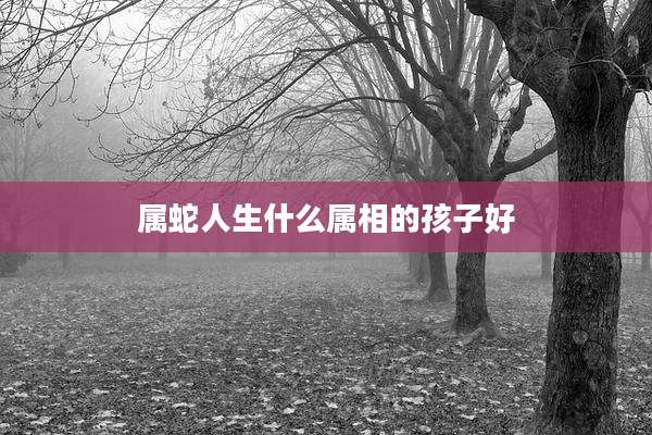 属蛇人生什么属相的孩子好