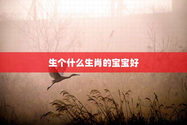 生个什么生肖的宝宝好