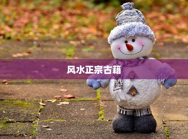 风水正宗古籍
