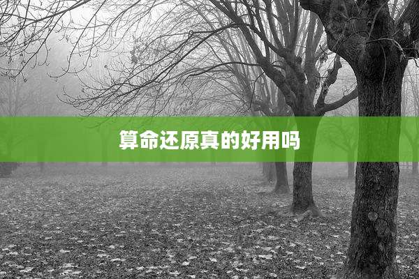 算命还原真的好用吗