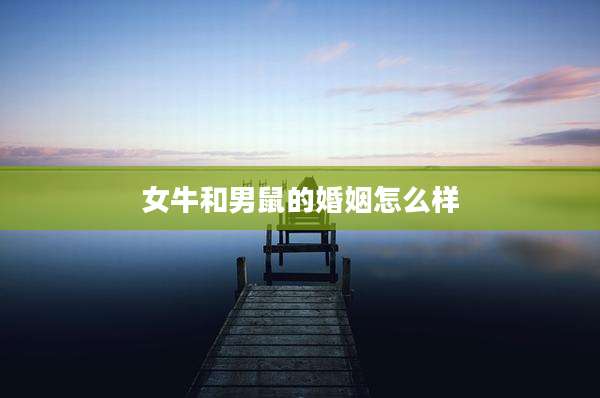 女牛和男鼠的婚姻怎么样