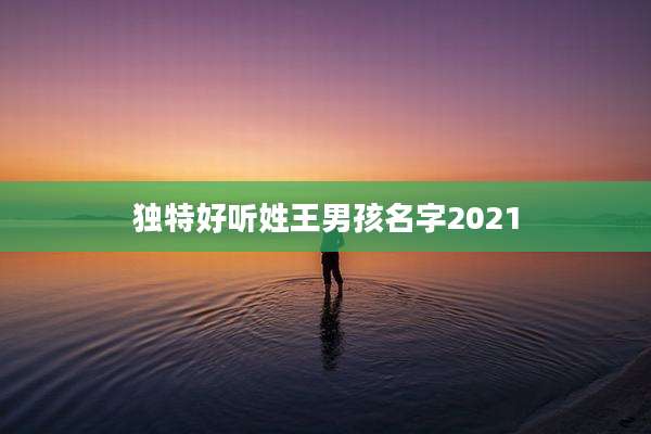 独特好听姓王男孩名字2021