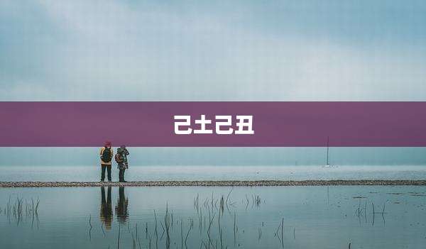 己土己丑